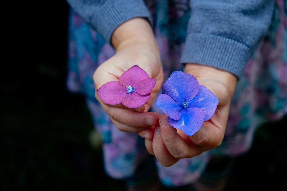 annie-spratt-czDFz3D7F20-unsplash